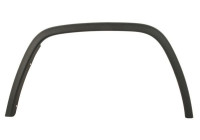 Trim/protection panel, mudguard