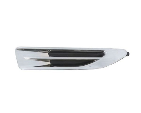 Trim/protection panel, mudguard