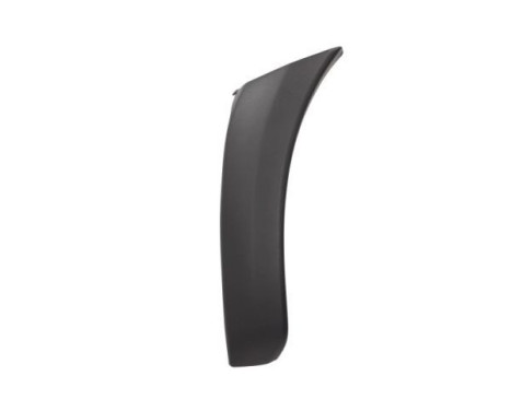 Trim/protection panel, mudguard