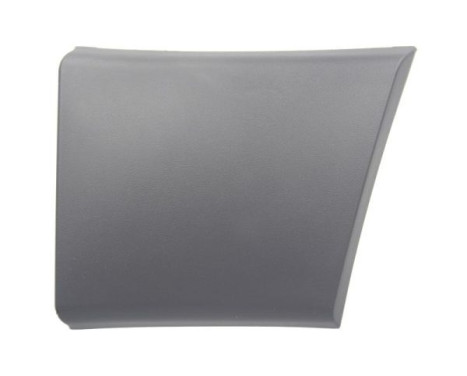 Trim/protection panel, mudguard