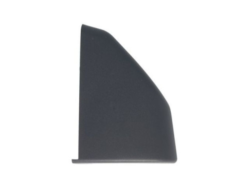 Trim/protection panel, mudguard