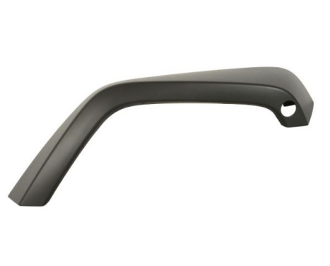 Trim/protection panel, mudguard