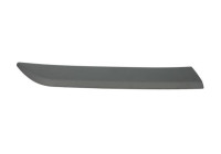 Trim/protection panel, mudguard
