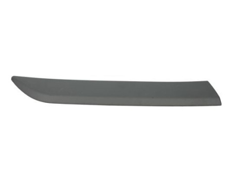 Trim/protection panel, mudguard