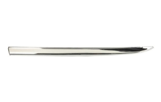 Trim/protection panel, mudguard