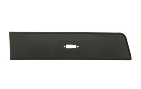 Trim/protection panel, mudguard