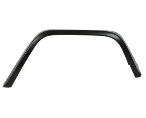 Trim/protection panel, mudguard