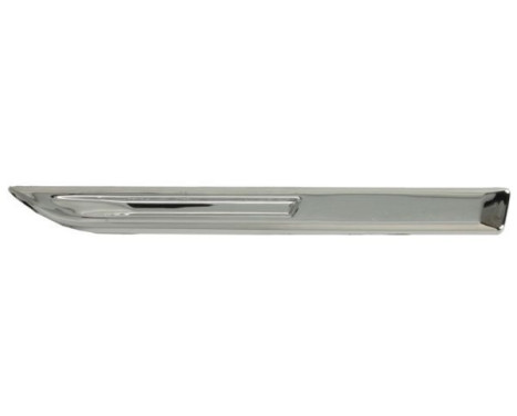 Trim/protection panel, mudguard