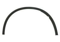Trim/protection panel, mudguard