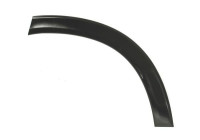 Trim/protection panel, mudguard