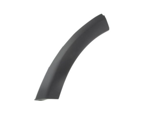 Trim/protection panel, mudguard