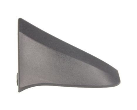 Trim/protection panel, mudguard
