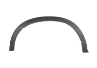 Trim/protection panel, mudguard