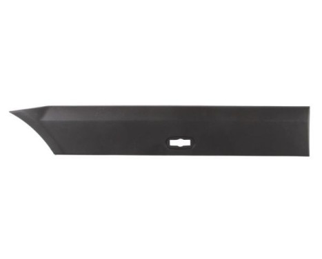 Trim/protection panel, mudguard