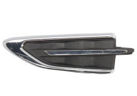 Trim/protection panel, mudguard