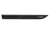 Trim/protection panel, mudguard