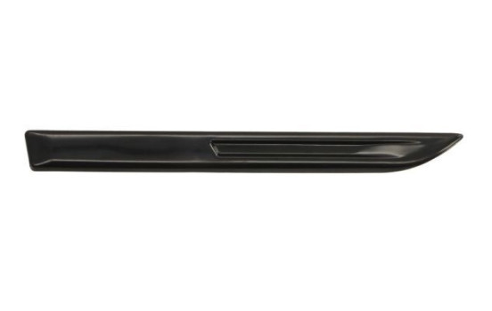 Trim/protection panel, mudguard