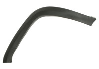 Trim/protection panel, mudguard
