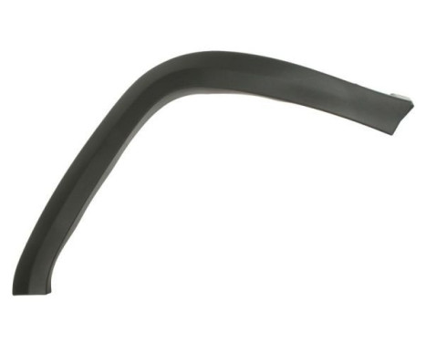 Trim/protection panel, mudguard