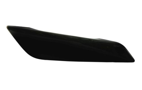 Trim/protection panel, mudguard