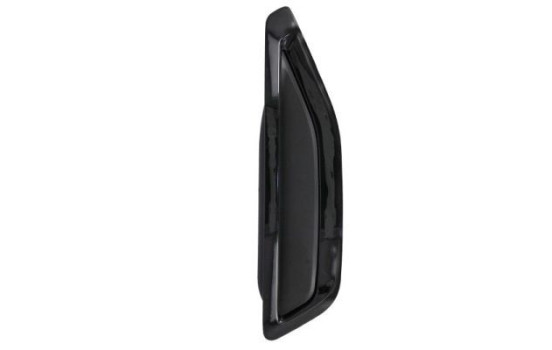 Trim/protection panel, mudguard