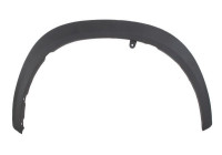 Trim/protection panel, mudguard