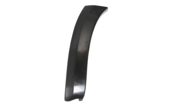 Trim/protection panel, mudguard