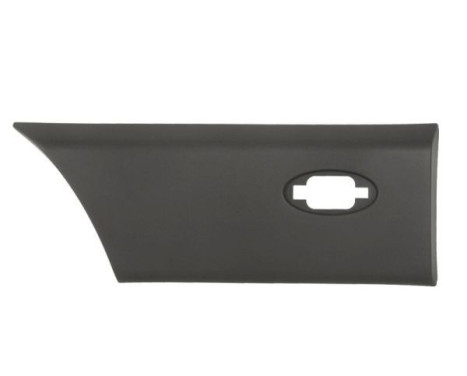 Trim/protection panel, mudguard