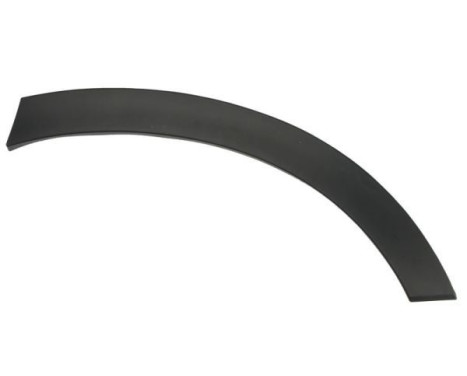 Trim/protection panel, mudguard
