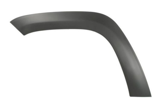 Trim/protection panel, mudguard