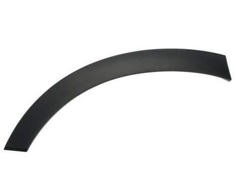 Trim/protection panel, mudguard
