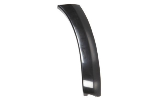Trim/protection panel, mudguard