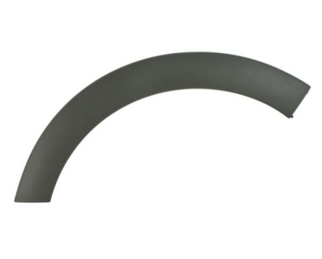Trim/protection panel, mudguard