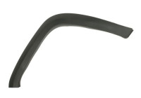 Trim/protection panel, mudguard