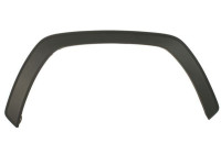 Trim/protection panel, mudguard