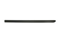 Trim/protection panel, mudguard