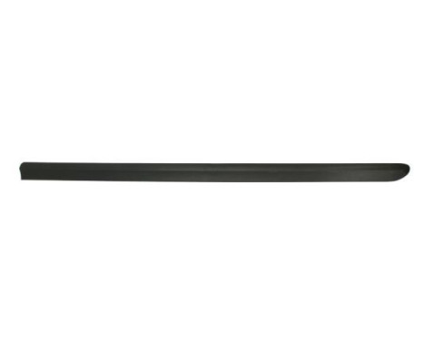 Trim/protection panel, mudguard