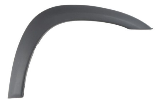 Trim/protection panel, mudguard