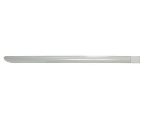Trim/protection panel, mudguard