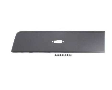 Trim/protection panel, mudguard