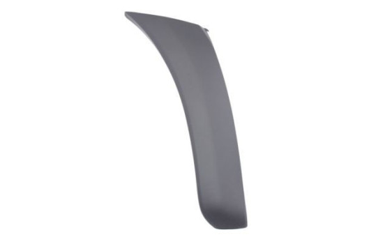 Trim/protection panel, mudguard