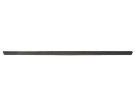 Trim/protection panel, mudguard