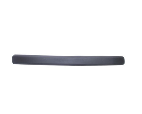 Trim/protection panel, mudguard