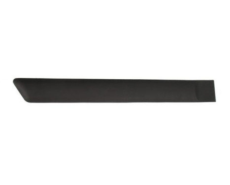 Trim/protection panel, mudguard