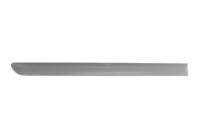 Trim/protection panel, mudguard