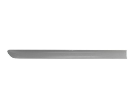 Trim/protection panel, mudguard