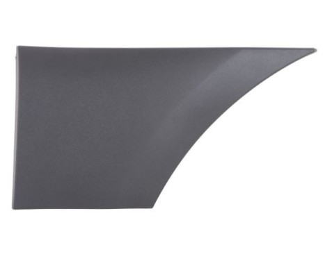 Trim/protection panel, mudguard