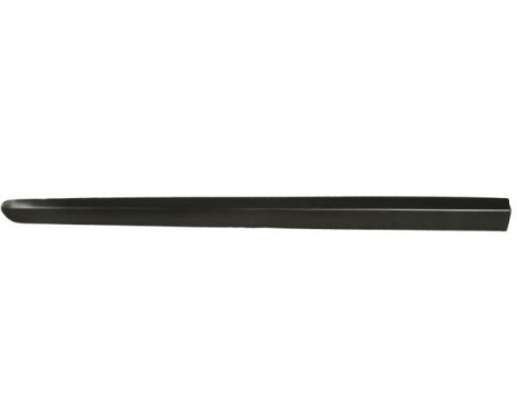 Trim/protection panel, mudguard