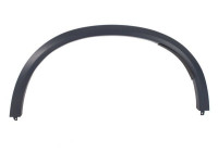 Trim/protection panel, mudguard