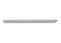 Trim/protection panel, mudguard